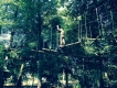Parc Aventures du Nideck : Fermeture exceptionnelle 