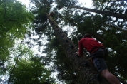 Parc Aventures du Nideck : 